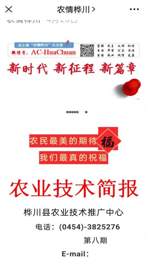 科技助力春耕 服務送到田間——樺川縣農技推廣中心下鄉指導春耕春播